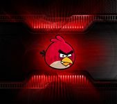 pic for Red Angry Birds 